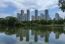 建设工程与房地产-国能律师事务所